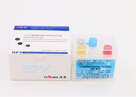 人乳头瘤病毒核酸分型检测试剂盒（流式荧光杂交法）
