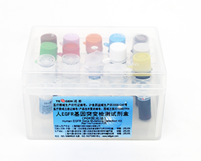 人EGFR基因突变检测试剂盒（PCR荧光法）